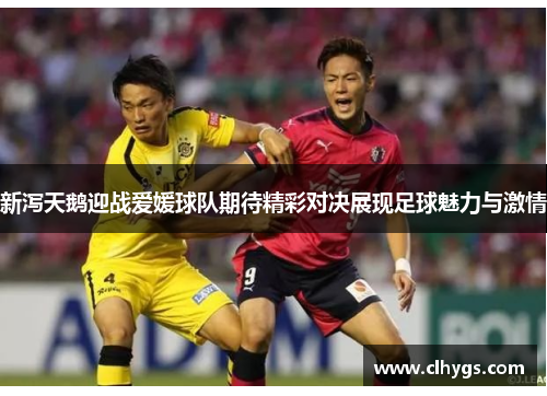 新泻天鹅迎战爱媛球队期待精彩对决展现足球魅力与激情